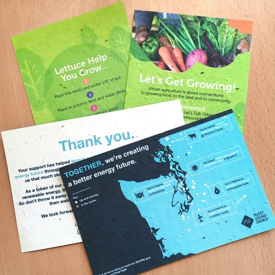 Double-Sided Medium Seed Paper Panel Cards 2