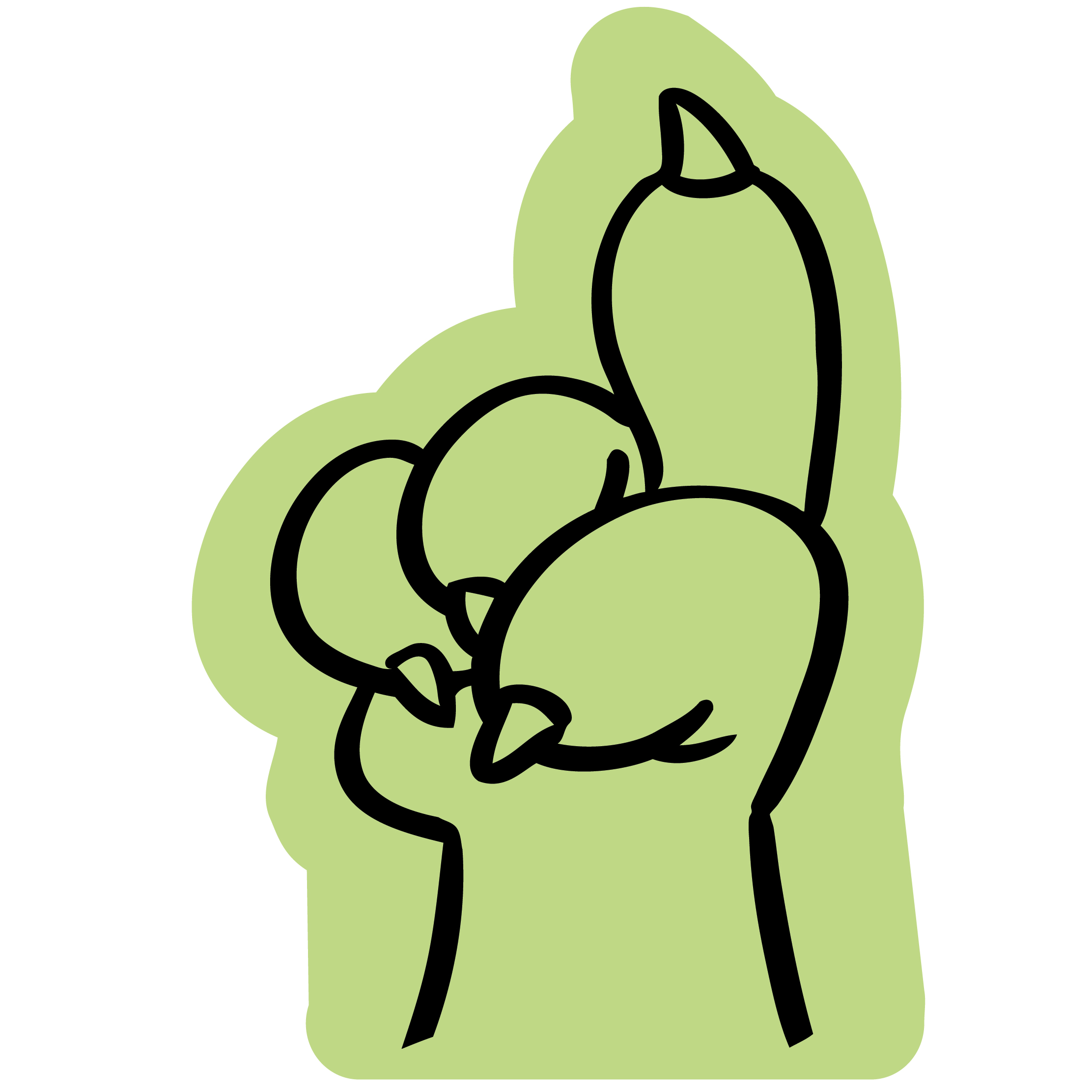 Animal Claw 12