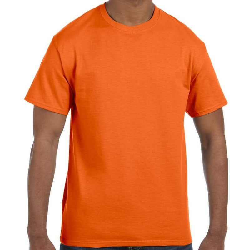 Hanes Men's Authentic-T T-Shirt 78