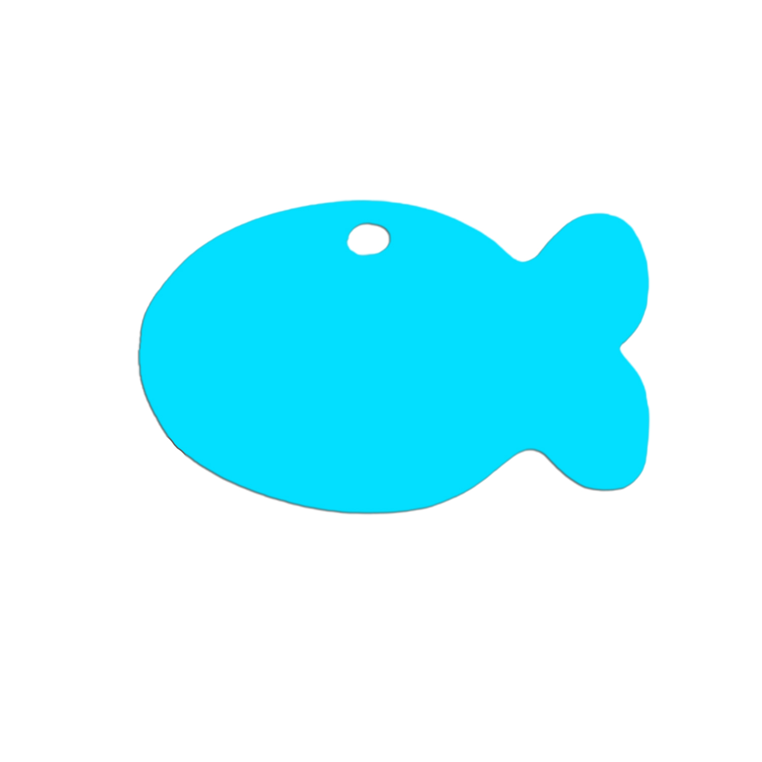 Aluminum Fish Shaped Pet Tag 6