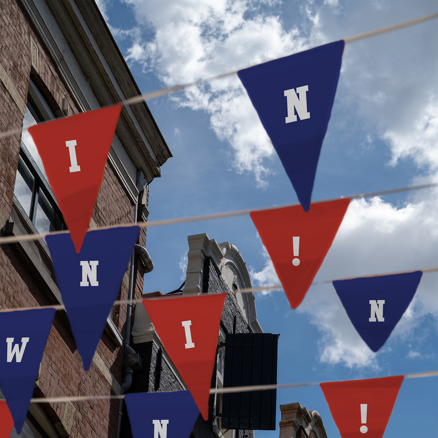 9" x 12" Triangle Pennant String Double-Sided (30') 4