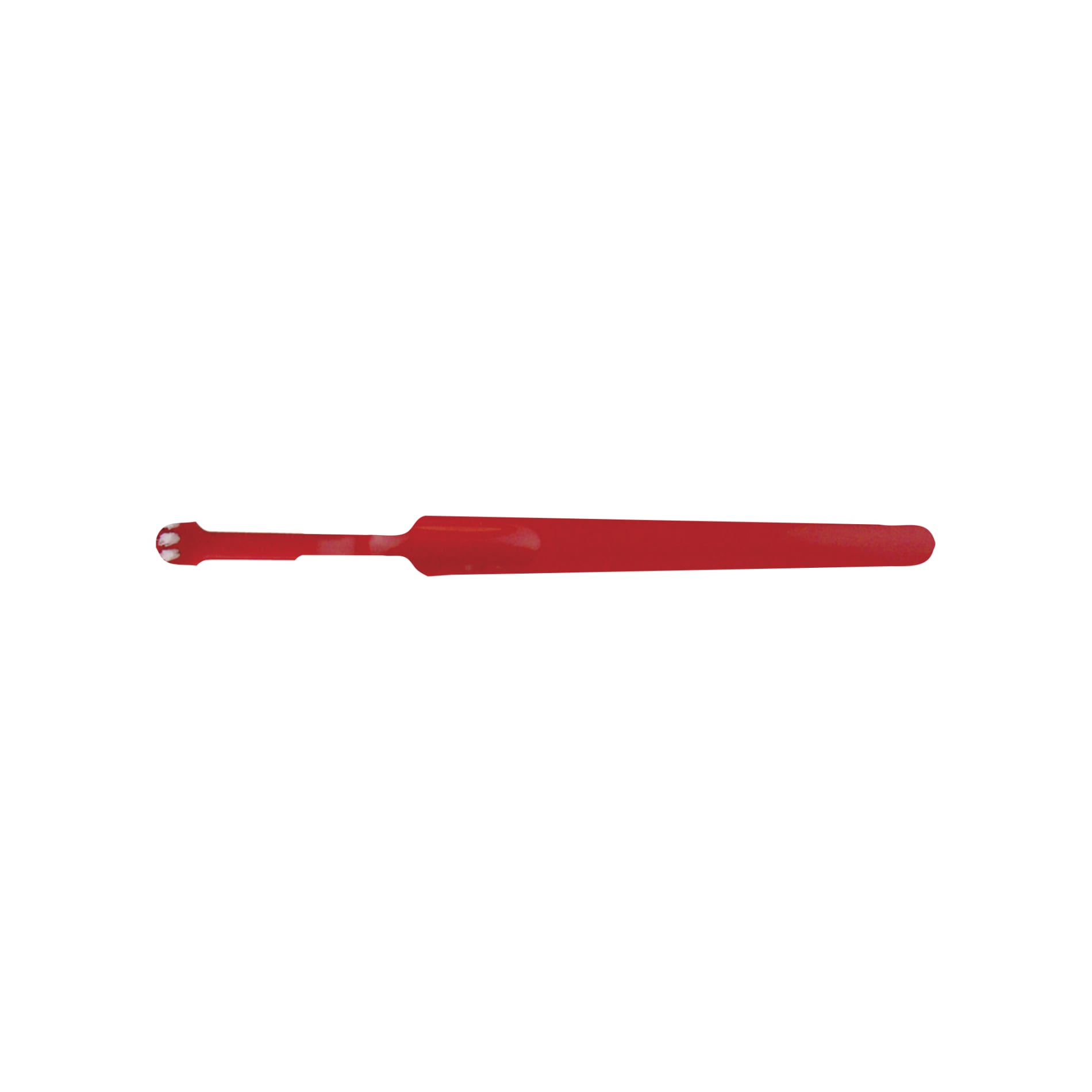 Signature Soft Toothbrush 84
