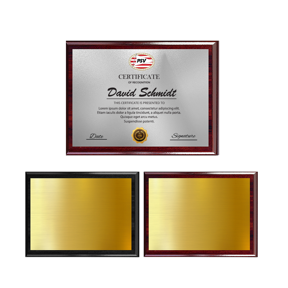 Wooden Plaque Award - Heat infused Silver or Gold 9" x 12" 6