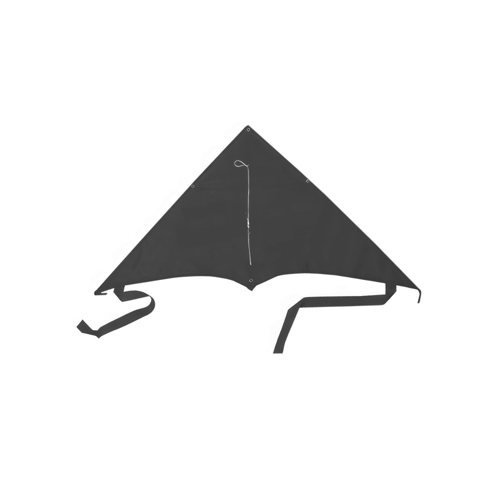 XL Delta Jumbo Kite - 40" X 20" 3