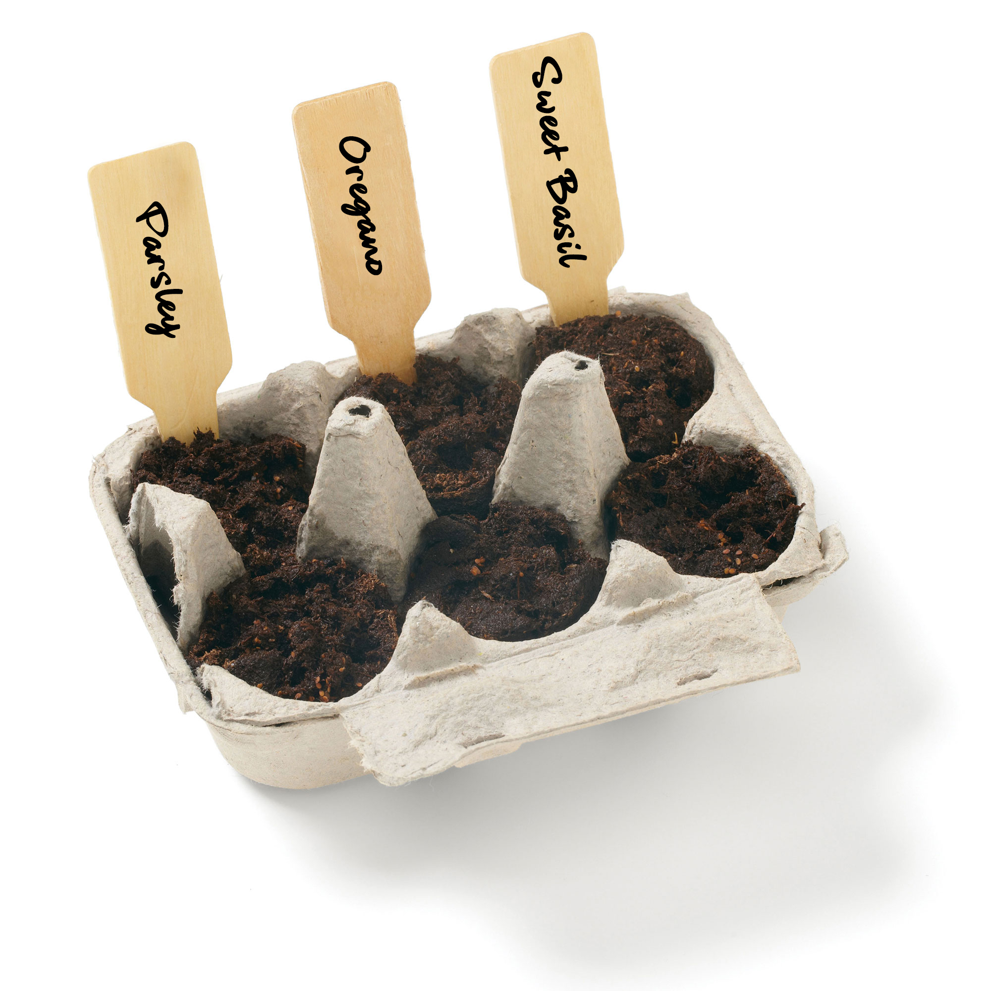 Grow Your Own Garden Kit-Italian Herb 6