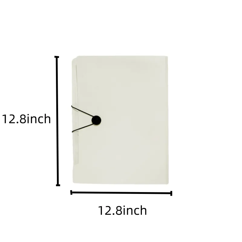 Expanding File Organizer 2