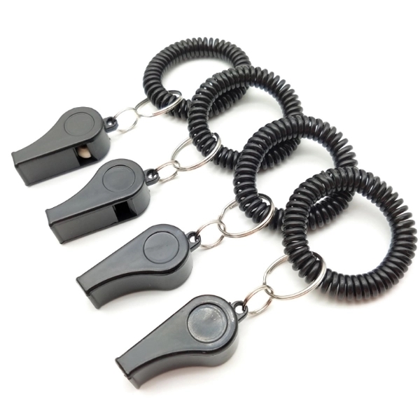 Whistle Coil Keychain 4