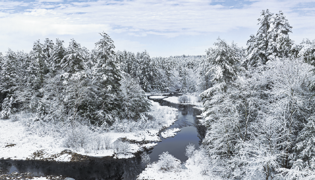 Triumph® Calendars American Splendor with Date Blocks Calendar 1