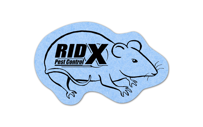 Rat/mouse Compressed Sponge