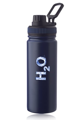 Houston 23 oz. Stainless Steel Water Bottle with Carrying Handle 2