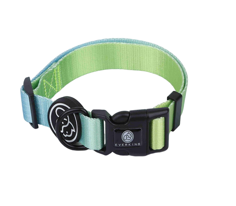 Zinc Alloy D Buckle Nylon Pet Collar - Medium 3