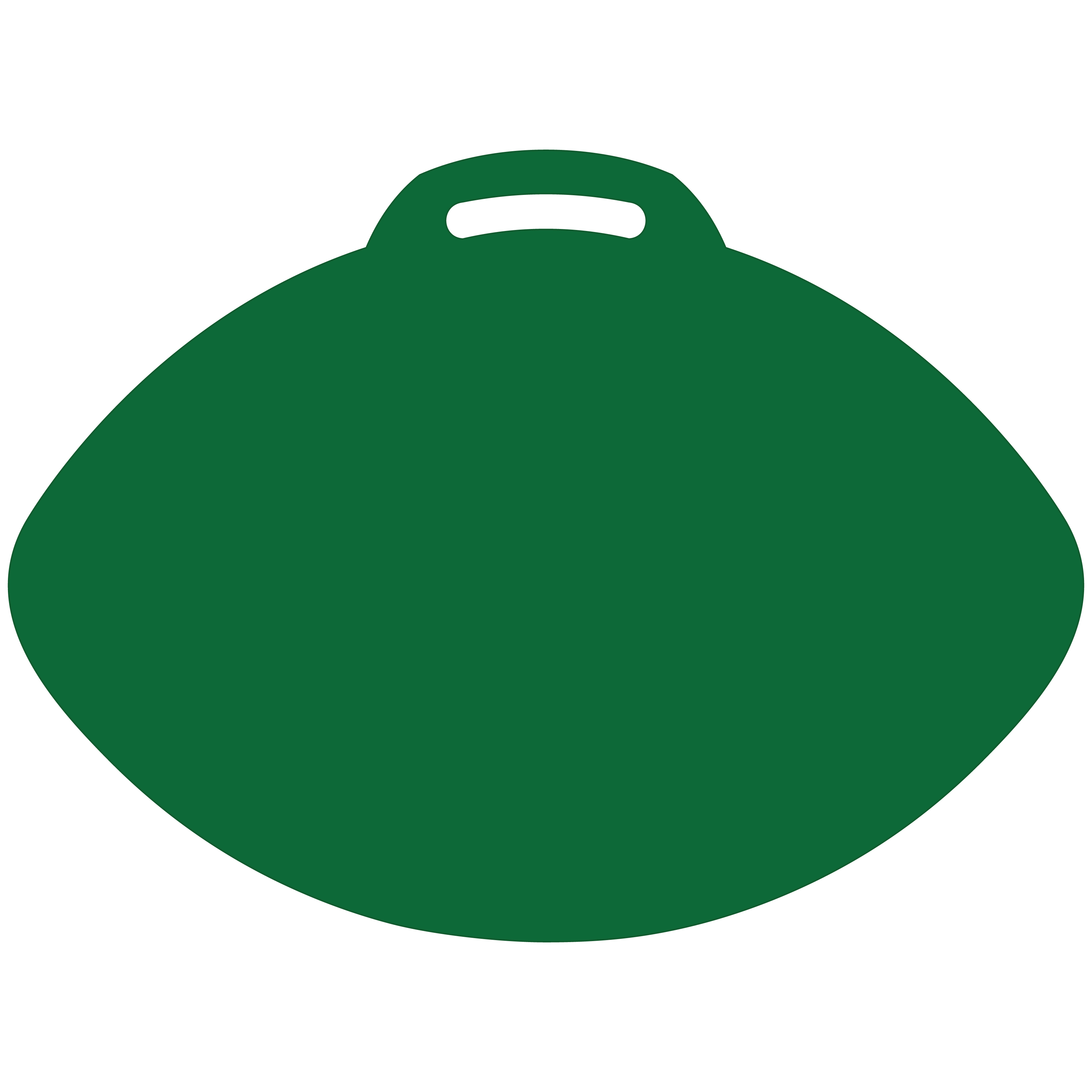 Football-Shaped Vinyl Stadium Cushion (18") 12