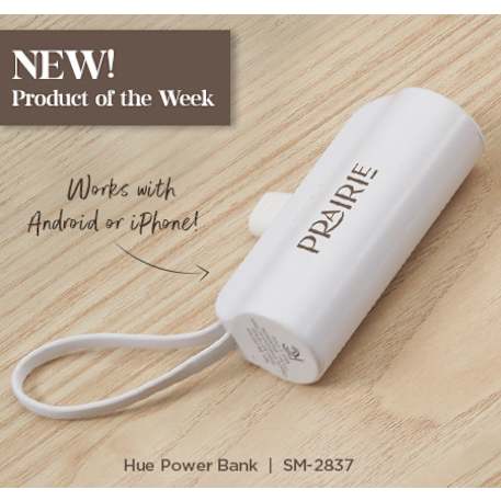 Hue 5000 mAh Power Bank with Multi Tips 157
