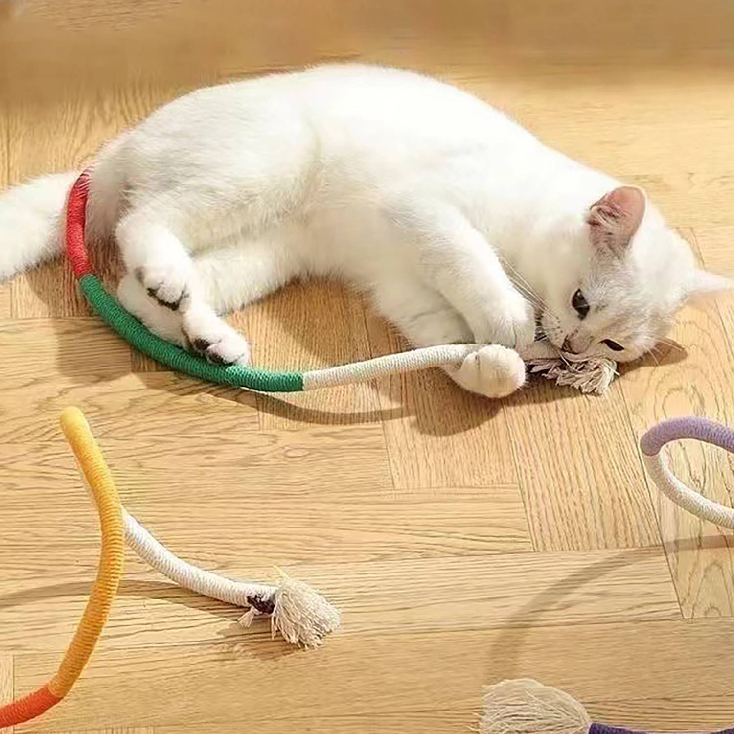 Interactive Fun Teething Rope W/ Natural Catnip 7