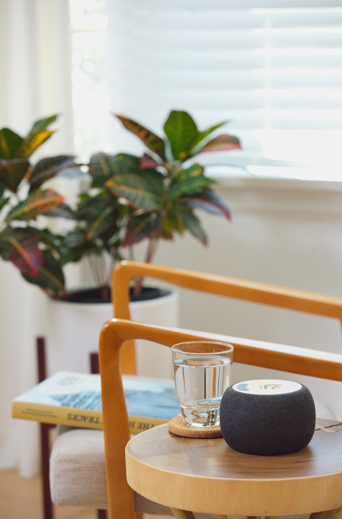 Empire Bamboo Wireless Speaker with 5W Wireless Charger 4