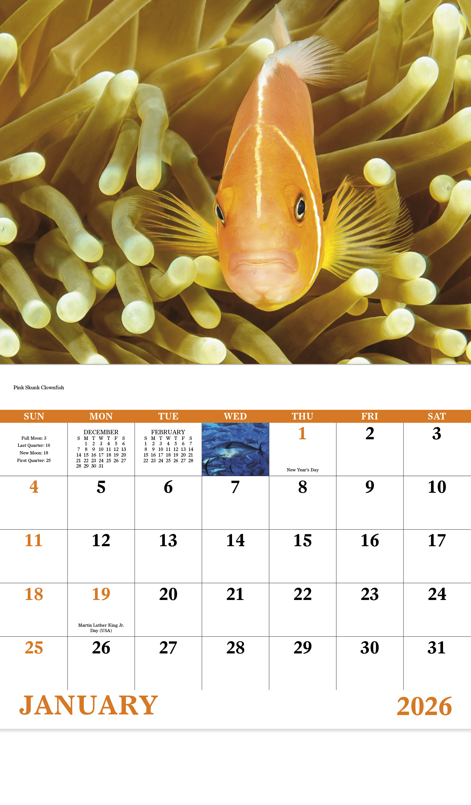 Good Value™ Ocean Glory - Stapled Calendar 17