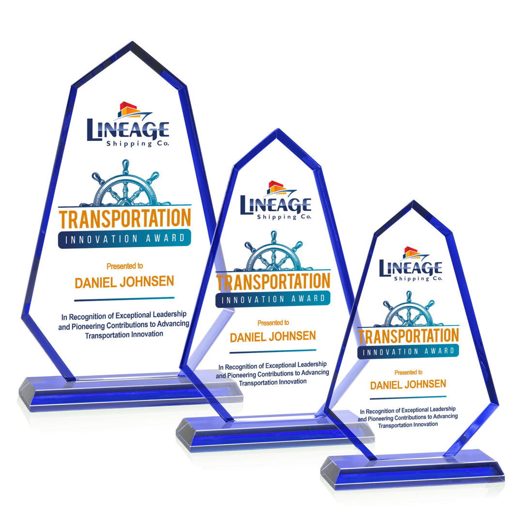 Pearson VividPrint™ Award - Blue