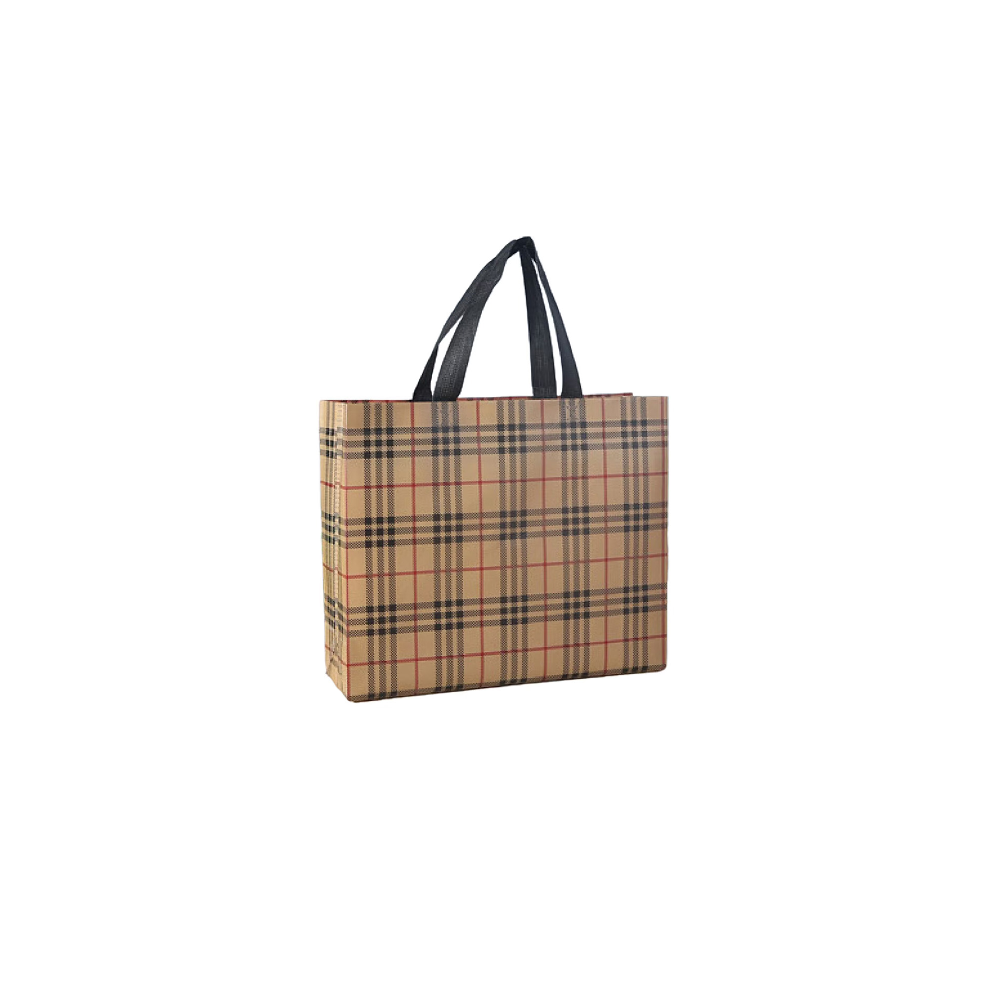 Laminated Non-woven Bags 2