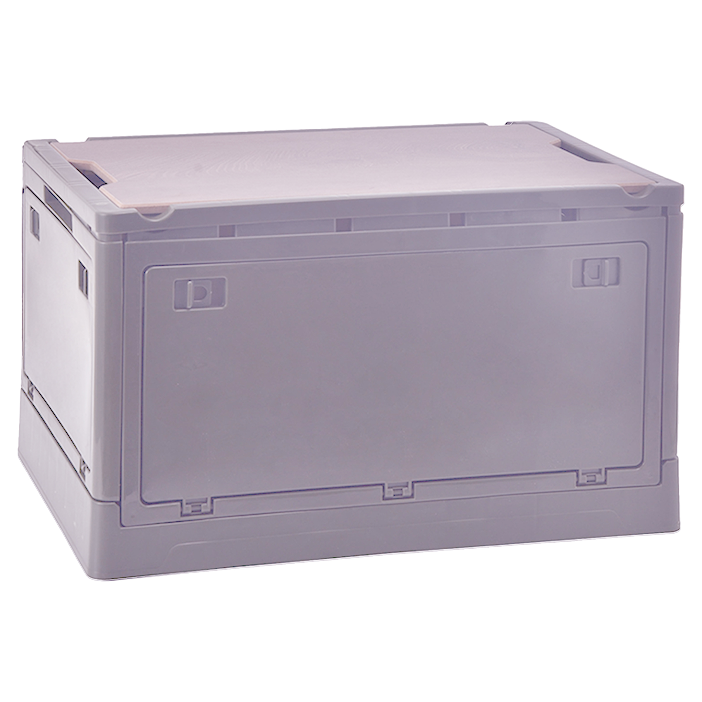 Plastic Trunk Storage Box 9