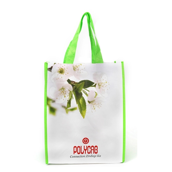 Eco-friendly PP Laminated Bag 9