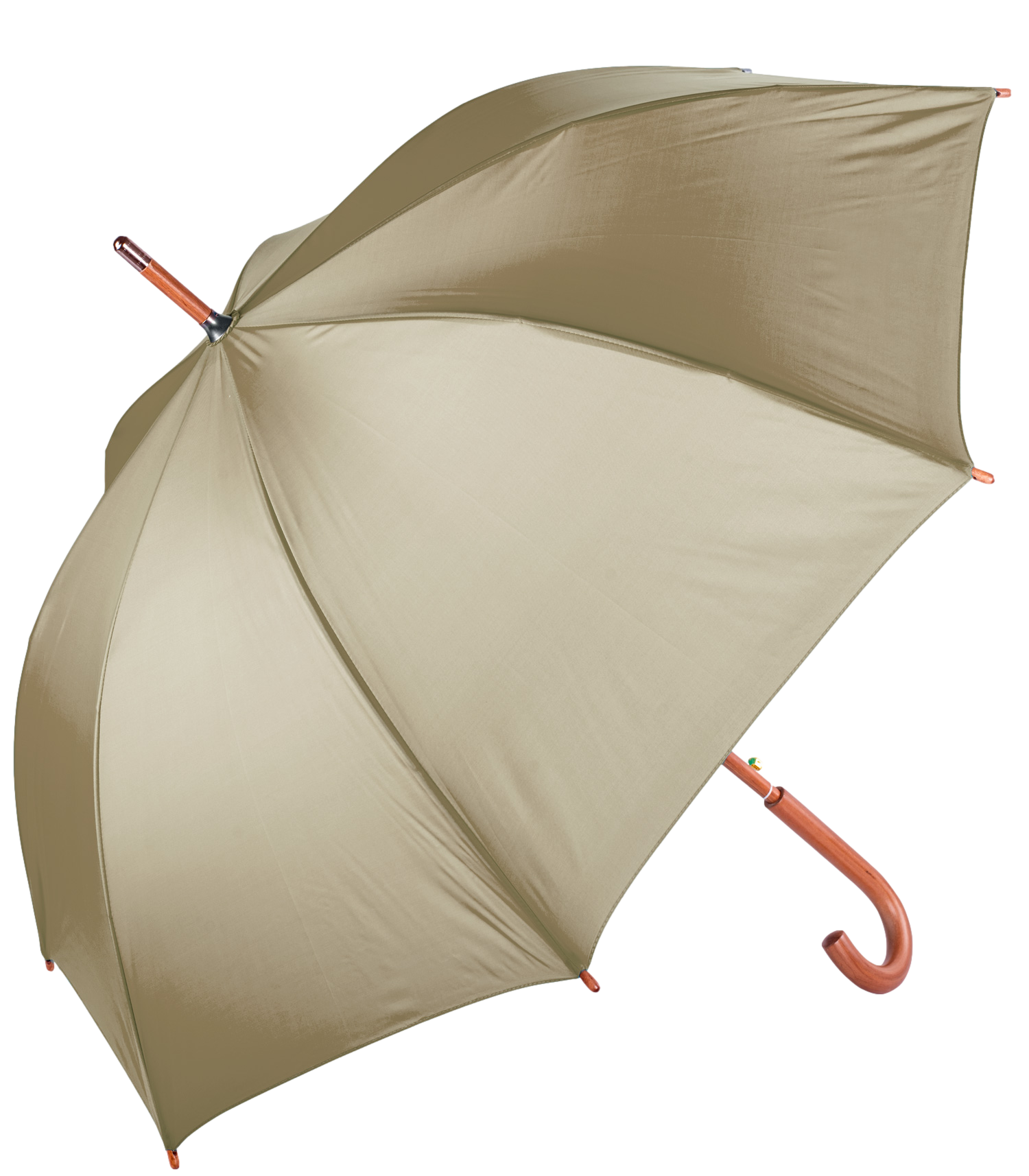 The Hotel Umbrella 10
