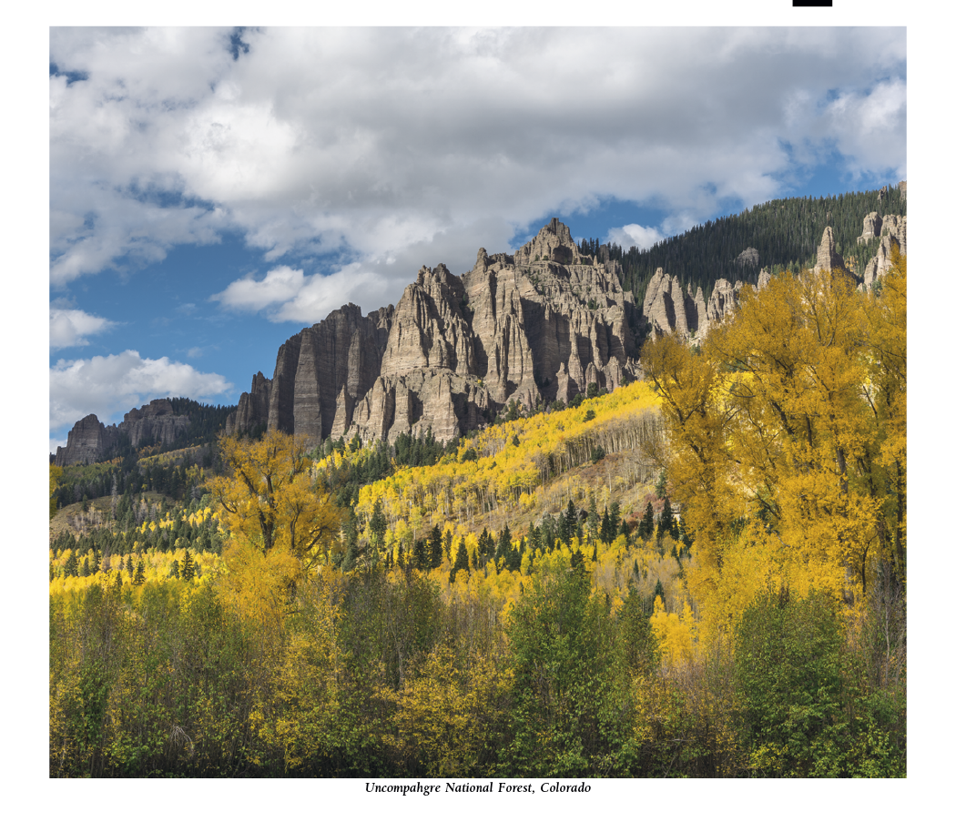 HotLine® Products Scenic America® Pocket Calendar 13