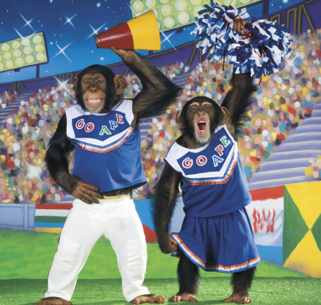 Triumph® Calendars Monkey Business Calendar 5