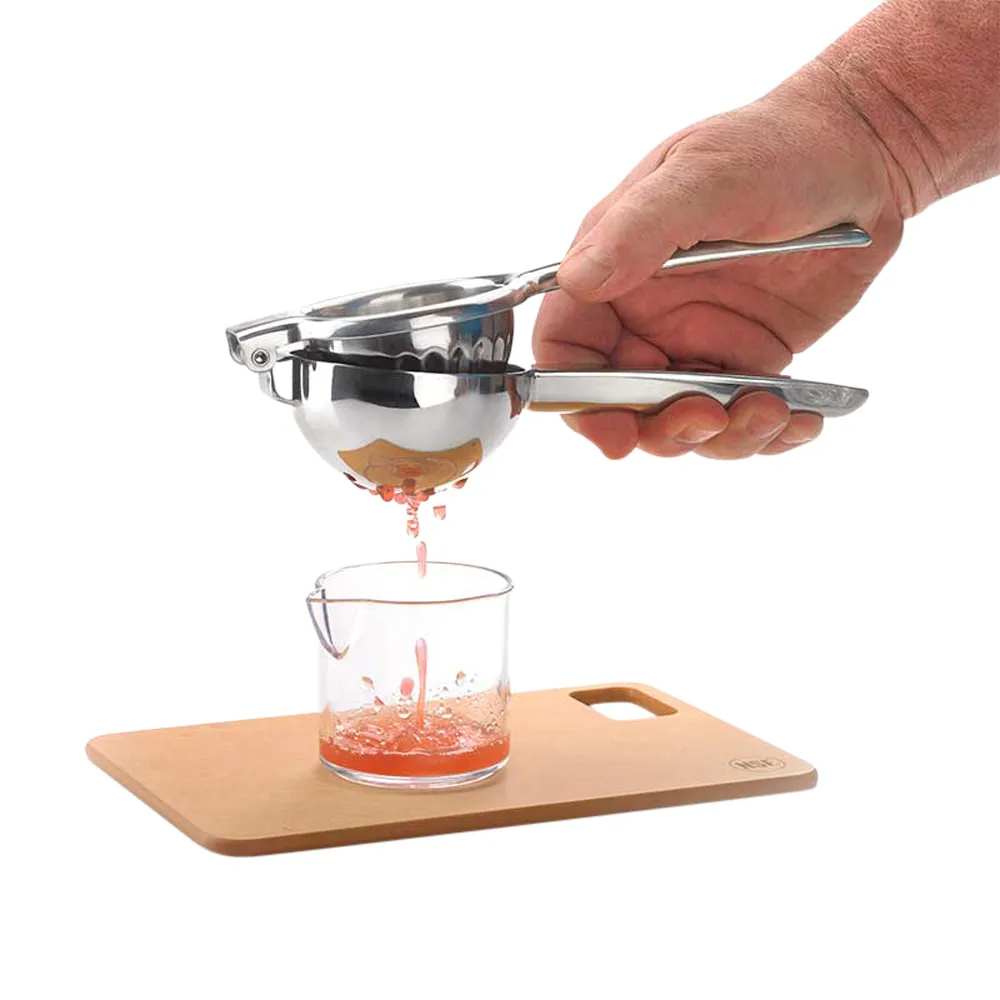 Deluxe Stainless Steel Juicer 2