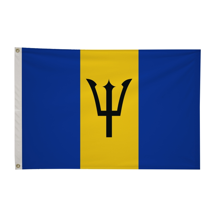 2' x 3'International Flag 165