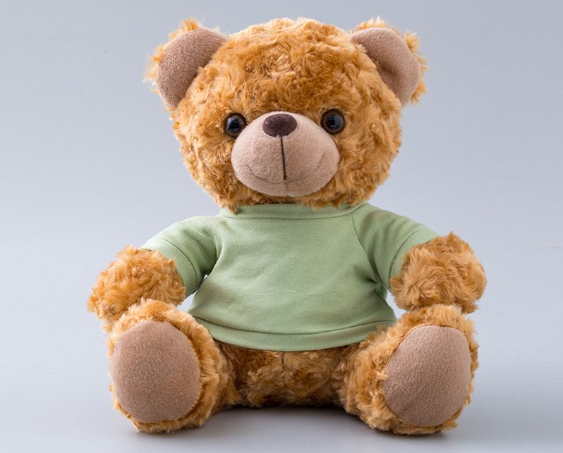 Teddy Bear With Choice of T-Shirt Color 2