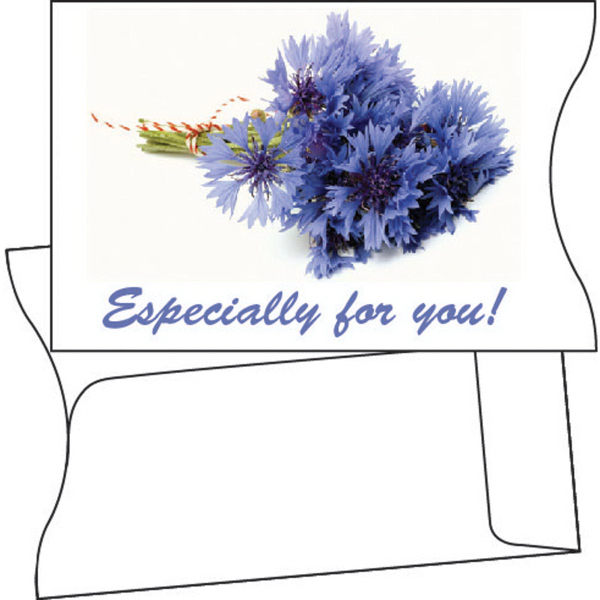 Hotel Key Card w/ Non Encoded Magnetic Stripe 11