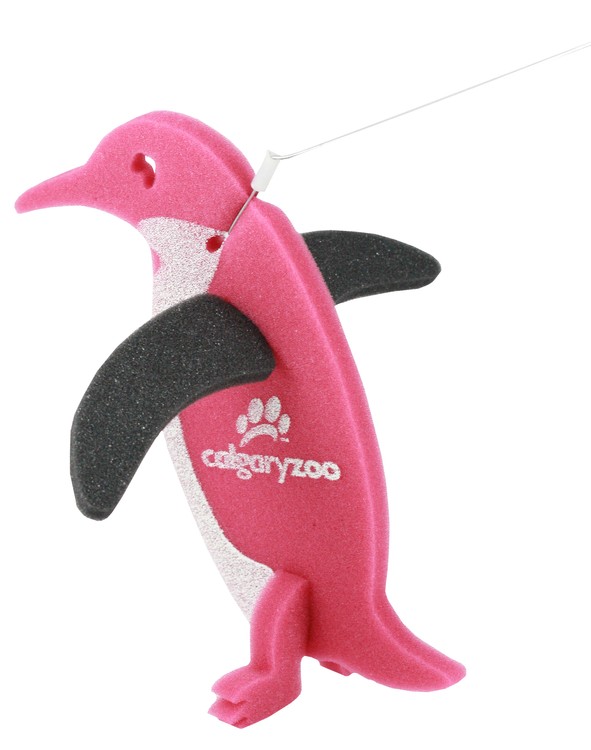Penguin on a leash 16