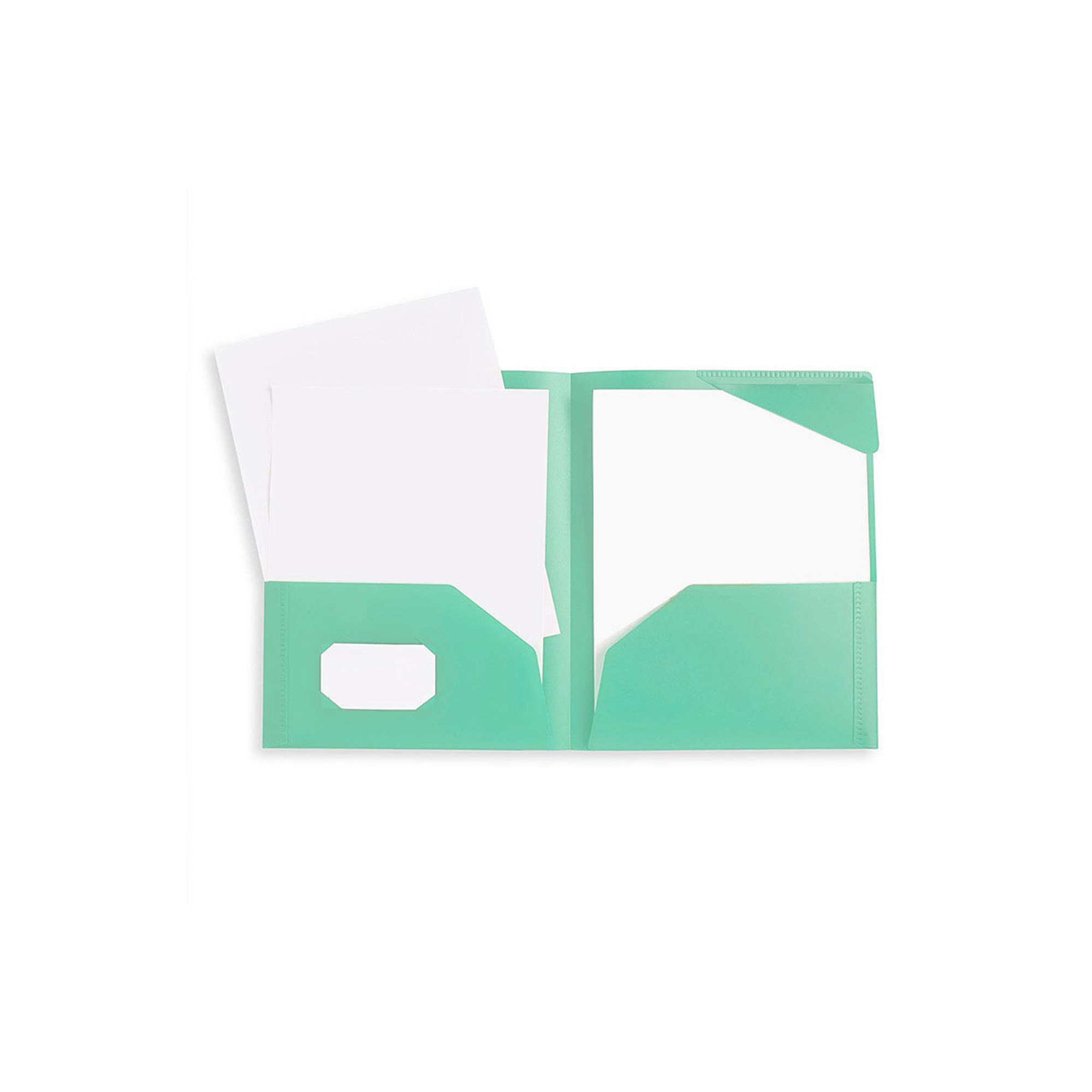 Plastic Two Pocket Folder 9