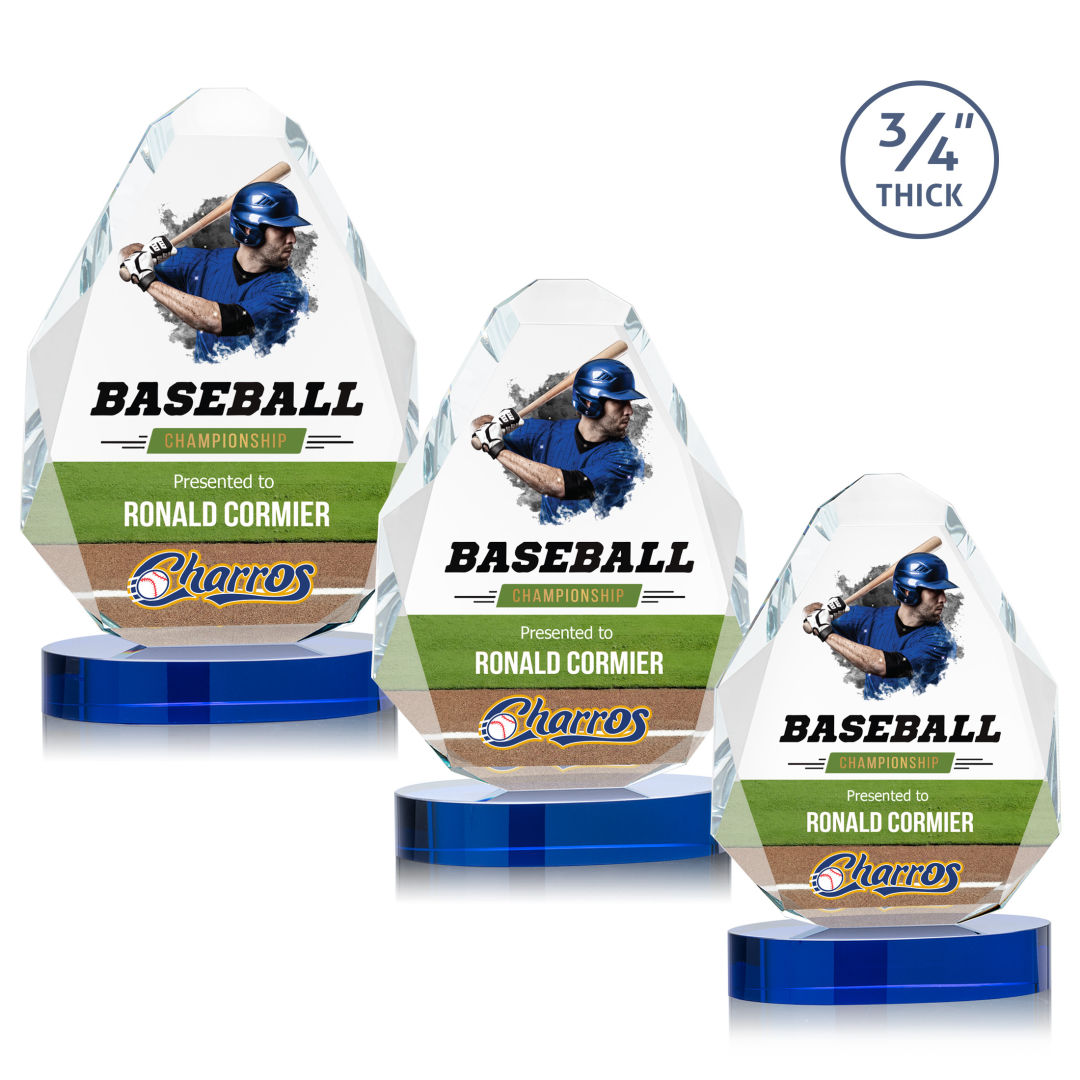 Lexis VividPrint™ Award