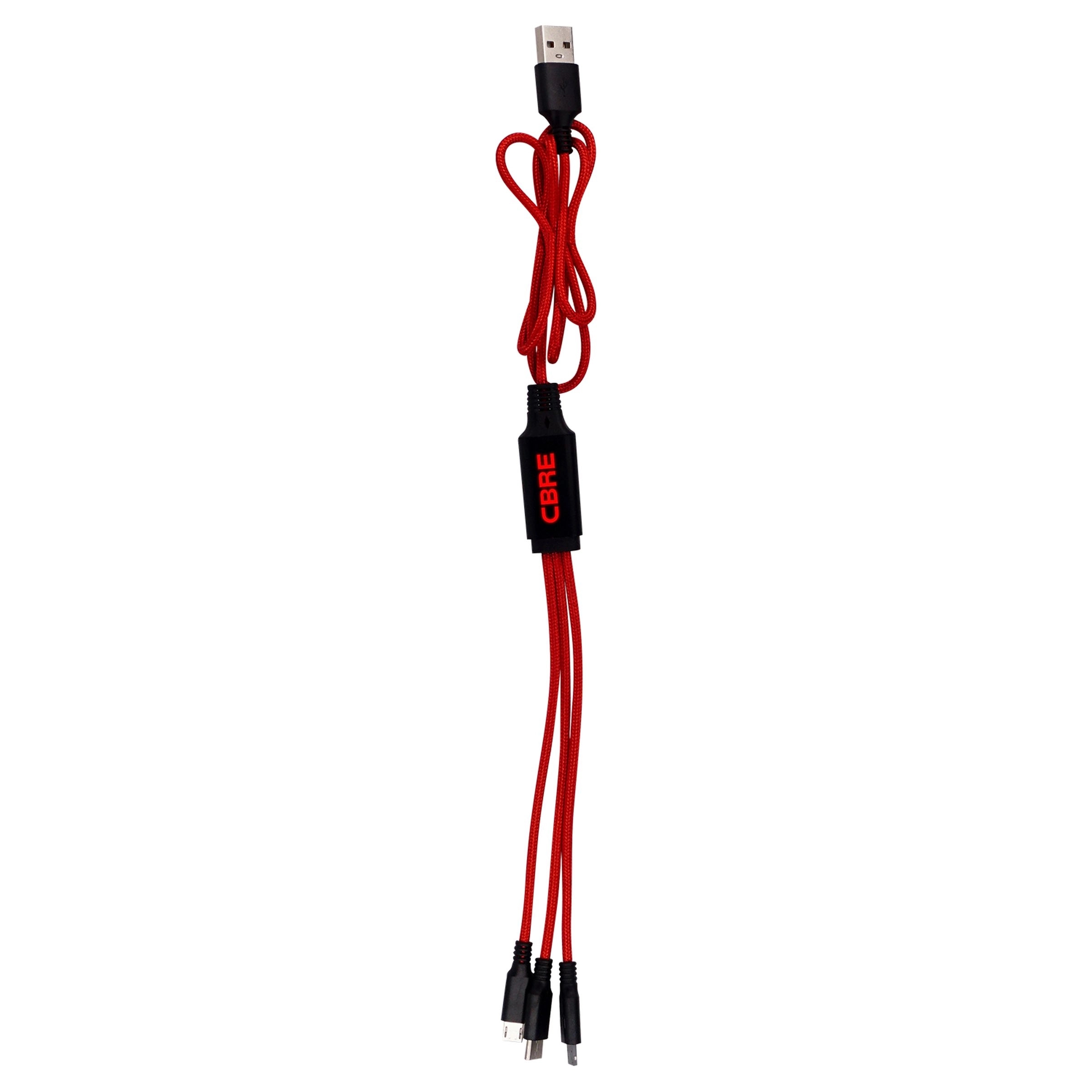 3' METALLIC LOGO LIGHT UP CABLE WITH TYPE C USB 5