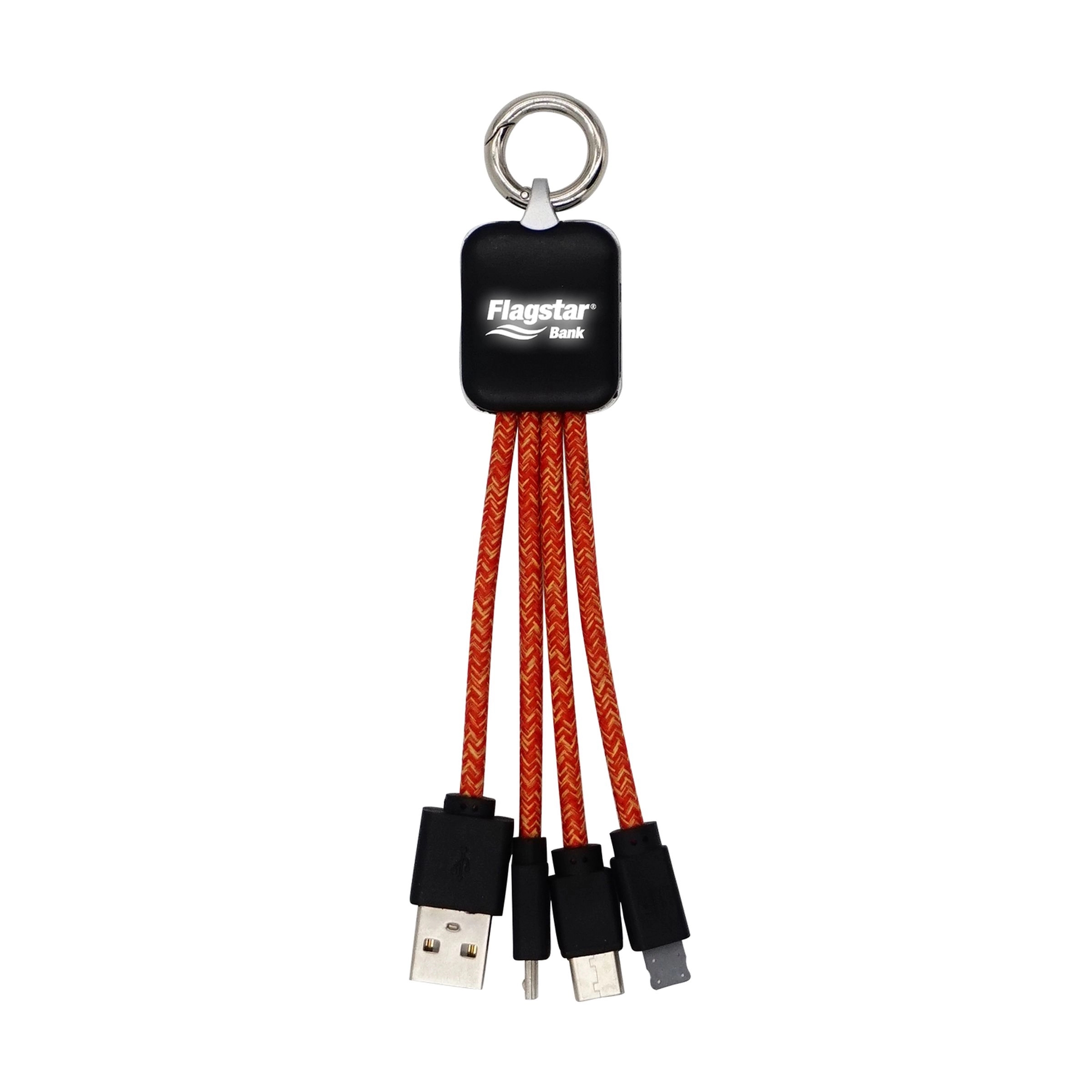 Ridge Logo Light Up Cable with Type C USB 7