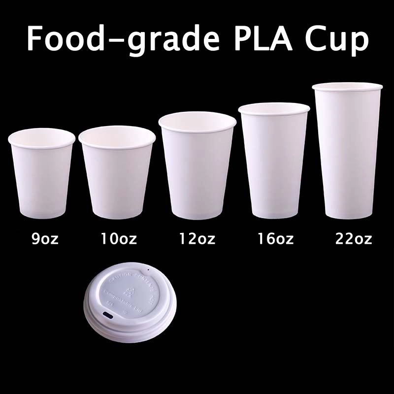Custom Eco-Friendly Degradable PLA Coffee & Beverage Cup 9