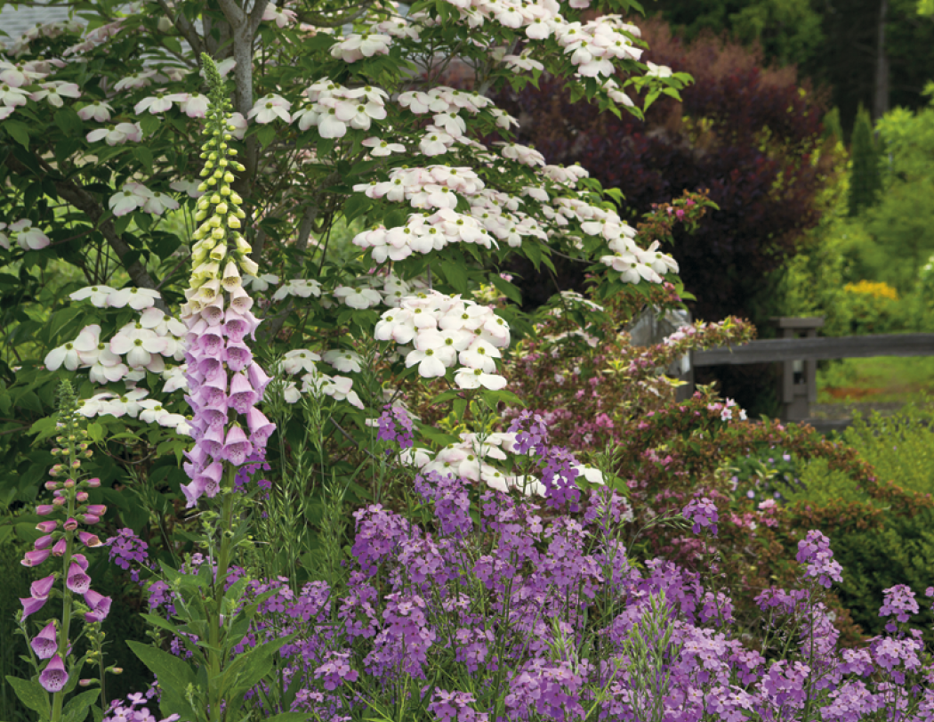 Good Value™ Garden Walk - Stapled Calendar 37