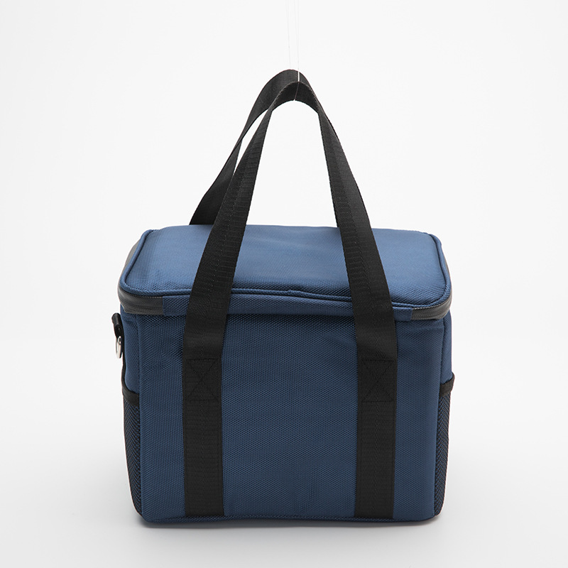 Collapsible Cooler Bag 4