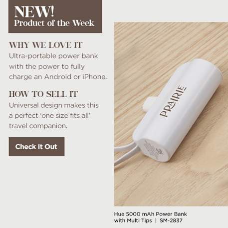 Hue 5000 mAh Power Bank with Multi Tips 89