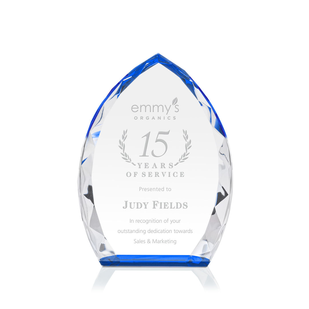 Wilton Award - Blue 8