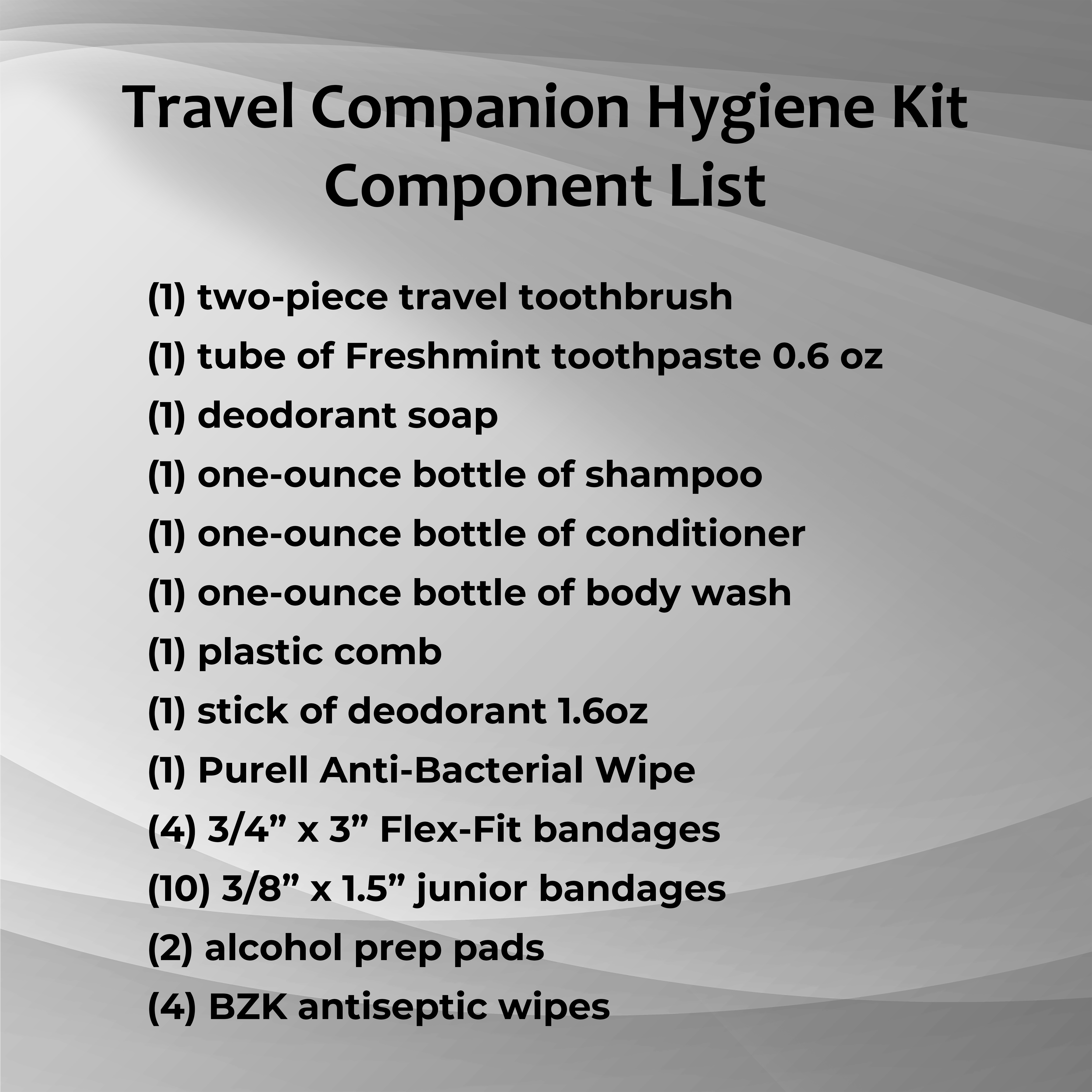 Travel Companion Hygiene Kit 3