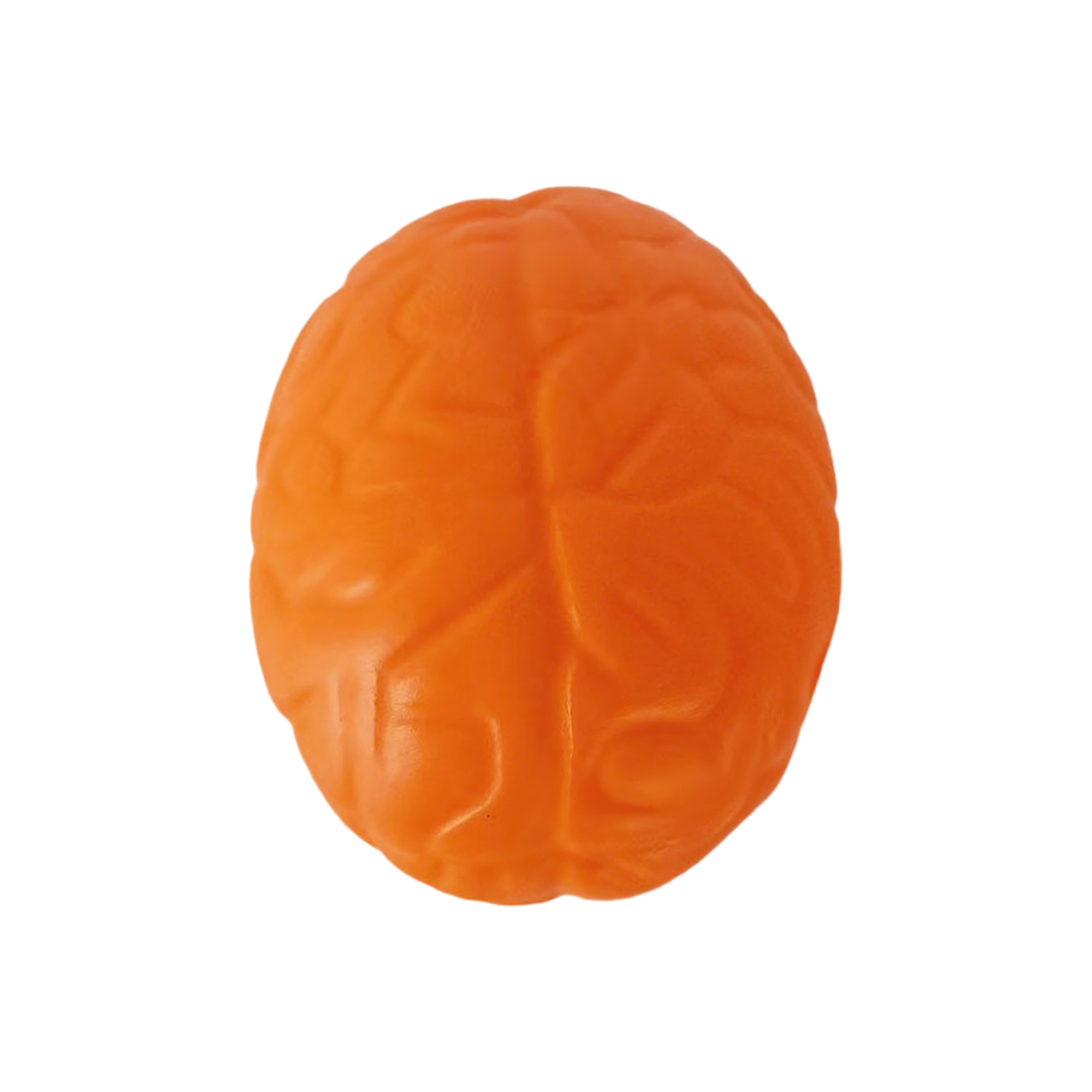 Brain Shape Foam Stress Reliever For Office And Education Use 10