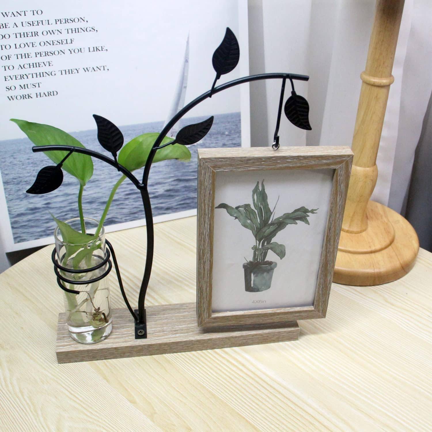 Iron Art Picture Frame Planter Holder for Home Office 8