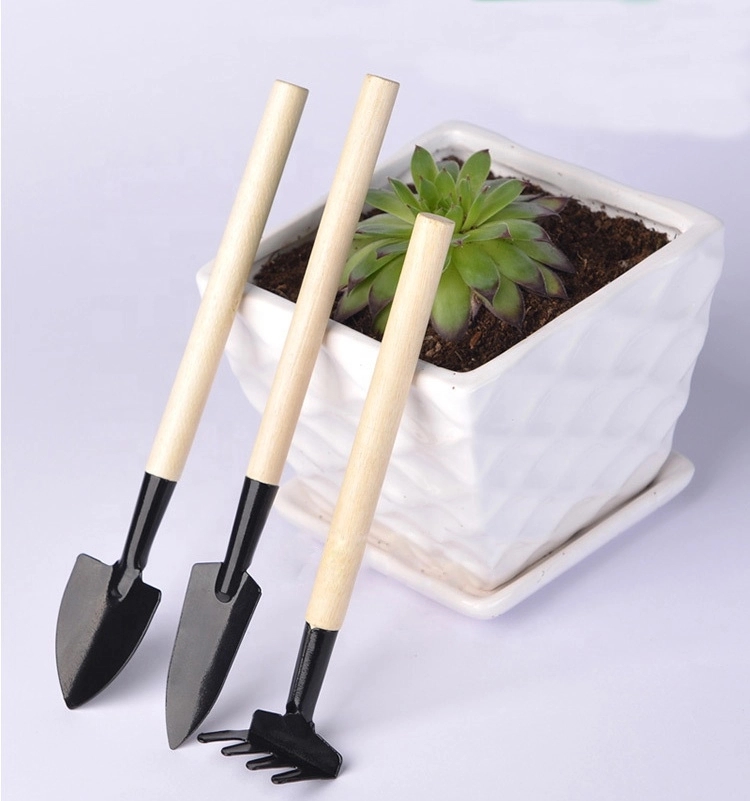 Mini Garden Planting Tool Set 3 Pieces 4