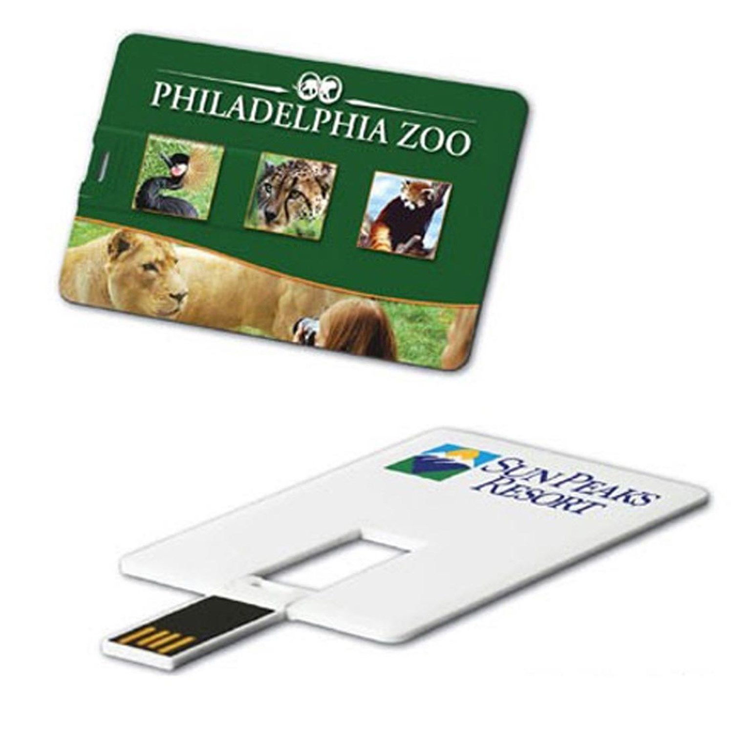 Credit Card USB Drive 6