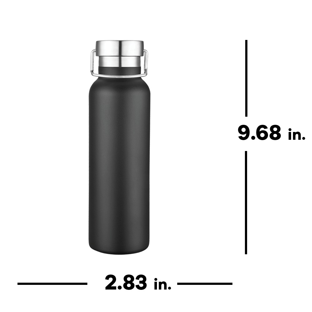 Slate 20oz Vaccuum Bottle