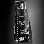 Wedgewood Award 4