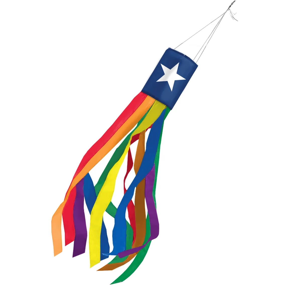 Texas Pride Windsock 2