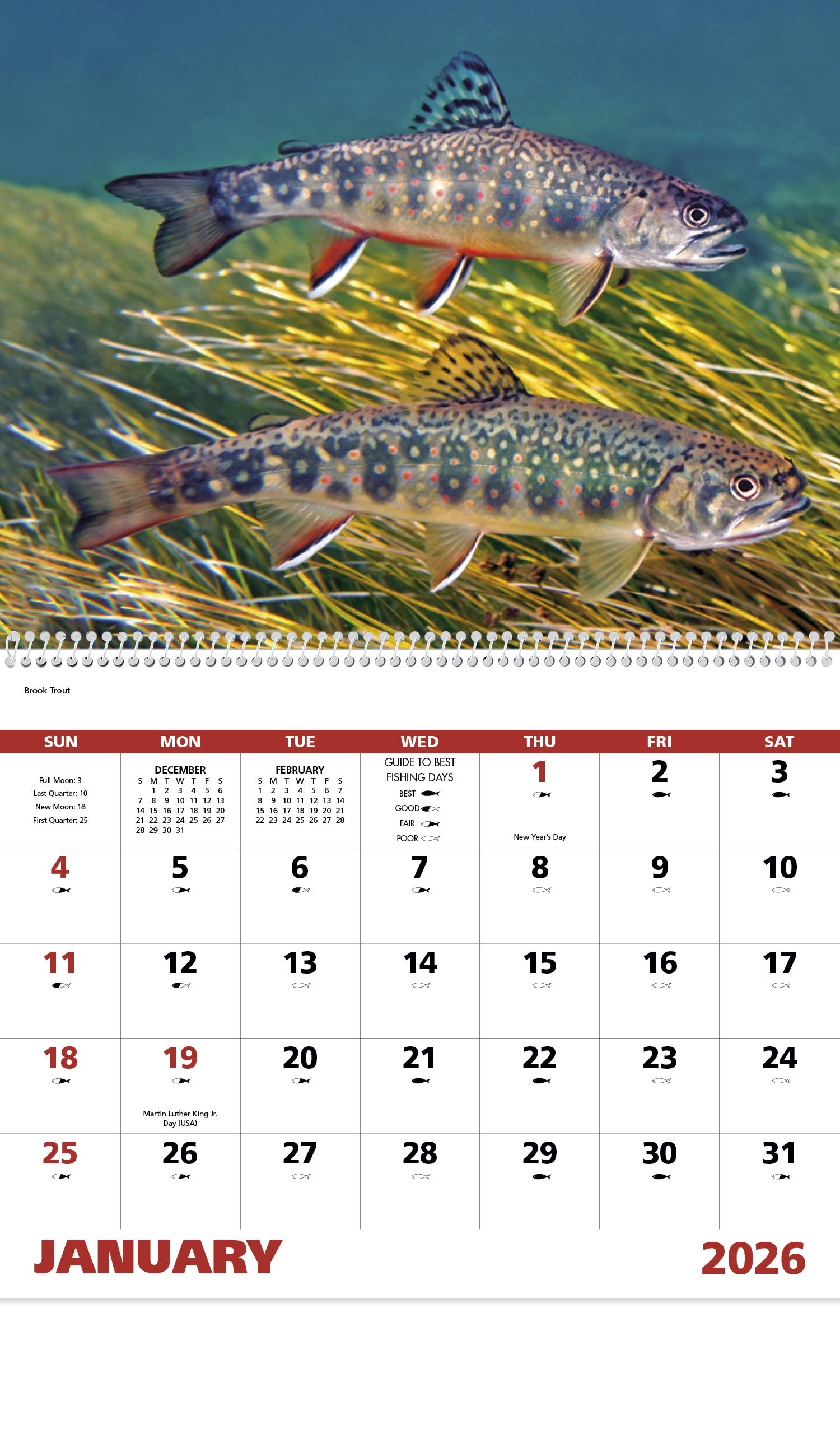 Good Value™ Fishing - Spiral Calendar 8